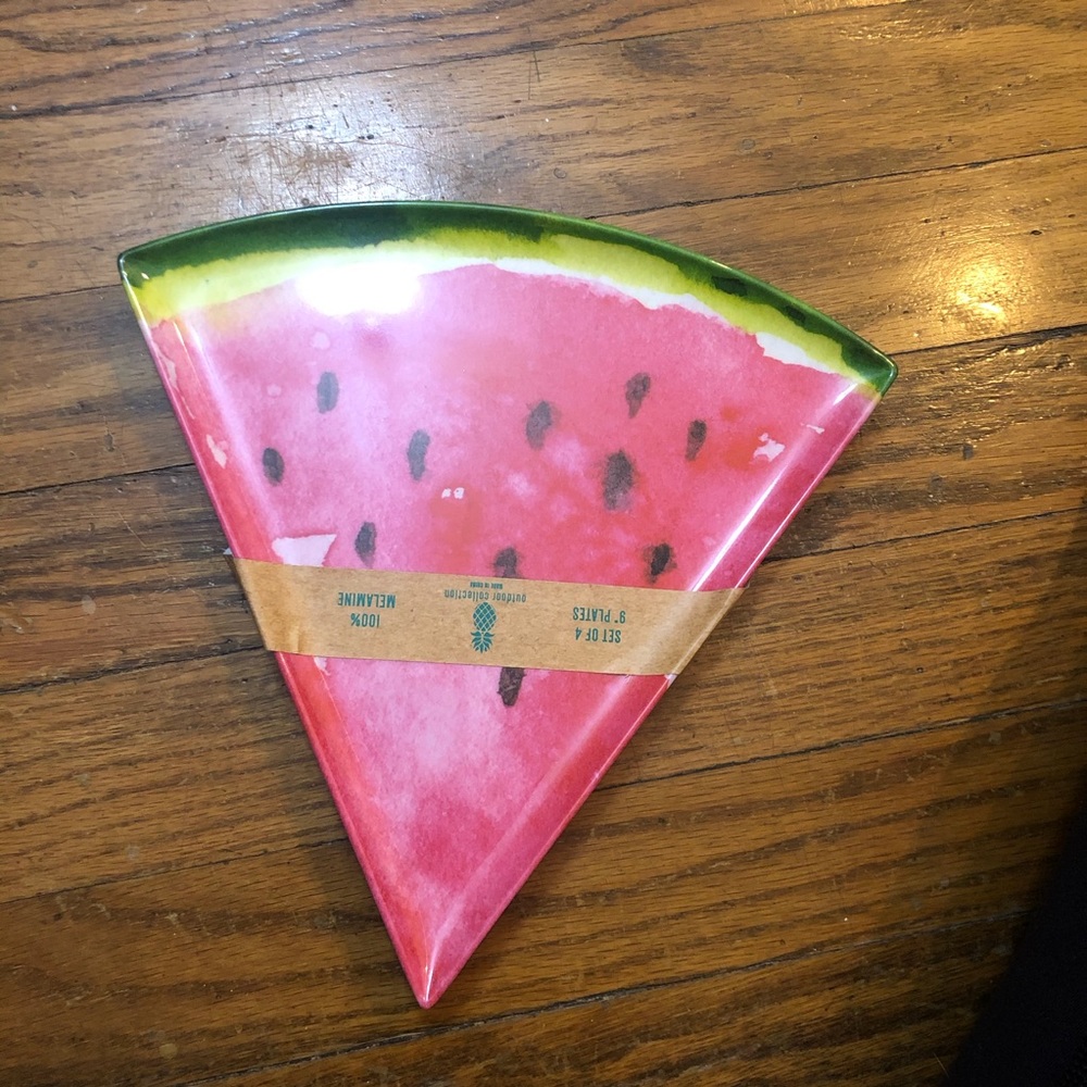 Watermelon Summer Outdoor plates